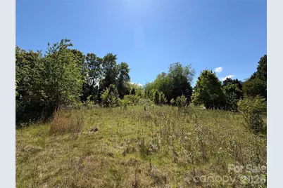 99999 S Morgan Branch Road, Candler, NC 28715 - Photo 5
