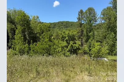 99999 S Morgan Branch Road, Candler, NC 28715 - Photo 9