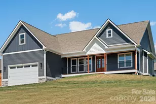 111 Pisgah Gap Dr, Candler, NC 28715 - Photo 3
