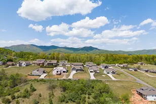 111 Pisgah Gap Dr, Candler, NC 28715 - Photo 39