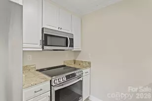 301 Winding Meadows Dr, Flat Rock, NC 28731 - Photo 43