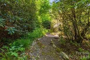 45 Echo Hills Dr, Fairview, NC 28730 - Photo 21