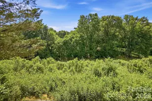 1264 Winding Path Rd, Clover, SC 29710 - Photo 41