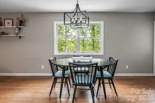 10 Terrapin Trail, Flat Rock, NC 28731 - Photo 11