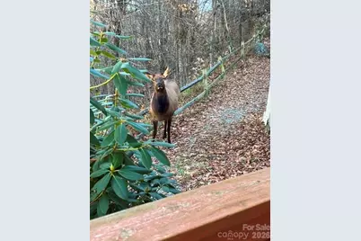 309 Irene Lane, Maggie Valley, NC 28751 - Photo 33