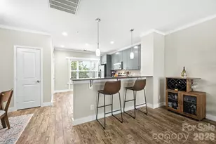 1733 Matheson Ave, Charlotte, NC 28205 - Photo 9