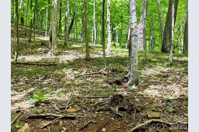 00 Hickory Springs Road #12, Burnsville, NC 28714 - Photo 21