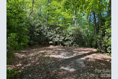 10C Reserve Road, Pisgah Forest, NC 28768 - Photo 7