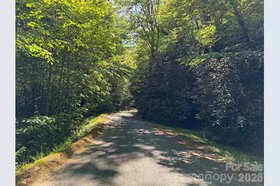 10C Reserve Road, Pisgah Forest, NC 28768 - Photo 3