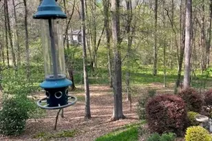 1712 Saddlewood Dr, Fort Mill, SC 29715 - Photo 35