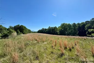 5028 Kurstie Ln, Boonville, NC 27011 - Photo 37
