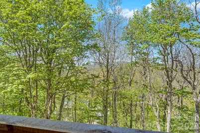 536 Boone Ridge Lane, Boone, NC 28607 - Photo 13