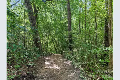 115 Bittersweet Trail, Canton, NC 28716 - Photo 41