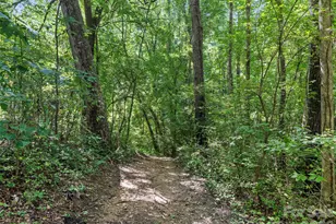 115 Bittersweet Trail, Canton, NC 28716 - Photo 41