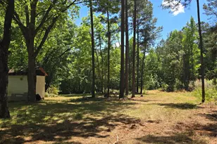 887 Okeewemee Star Rd, Star, NC 27356 - Photo 3