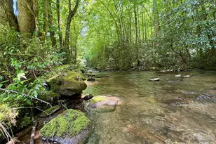0 Alarka Rd, Bryson City, NC 28713 - Photo 1