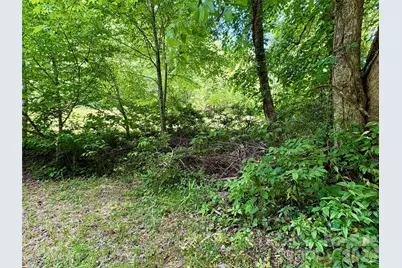0 Alarka Road #48, Bryson City, NC 28713 - Photo 5
