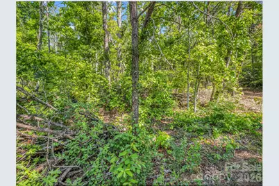 9999 Sedgewood Court, Fairview, NC 28730 - Photo 3