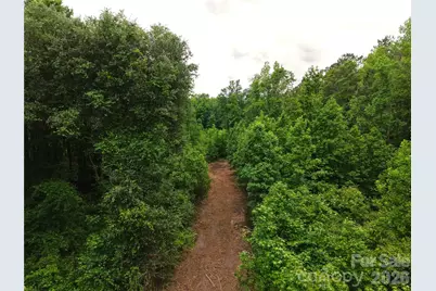 00 Society Hill Road, Society Hill, SC 29593 - Photo 7