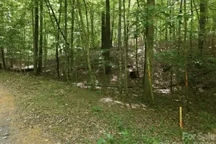 2411 Hundred Acres Ln, Lenoir, NC 28645 - Photo 1