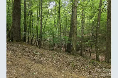 2411 Hundred Acres Lane, Lenoir, NC 28645 - Photo 3