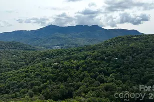 367 Skyleaf Dr, Sugar Mountain, NC 28604 - Photo 15