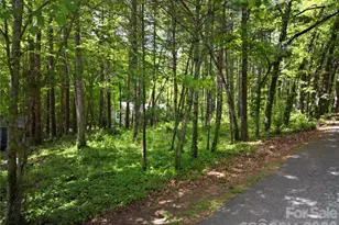 164 Country Ln, Brevard, NC 28712 - Photo 1