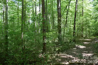 0 Floyd Blackwell Road, Tryon, NC 28722 - Photo 23