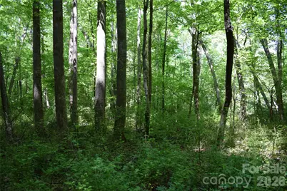 0 Floyd Blackwell Road, Tryon, NC 28722 - Photo 15