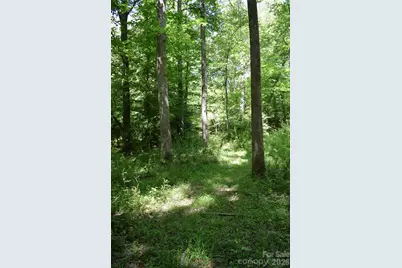0 Floyd Blackwell Road, Tryon, NC 28722 - Photo 19