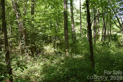 0 Floyd Blackwell Road, Tryon, NC 28722 - Photo 11