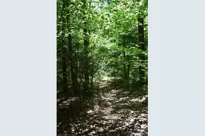 0 Floyd Blackwell Road, Tryon, NC 28722 - Photo 3