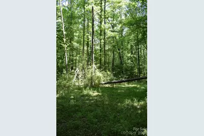 0 Floyd Blackwell Road, Tryon, NC 28722 - Photo 17
