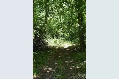 0 Floyd Blackwell Road, Tryon, NC 28722 - Photo 5