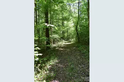 0 Floyd Blackwell Road, Tryon, NC 28722 - Photo 25
