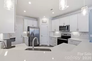 23006 Clarabelle Dr, Charlotte, NC 28273 - Photo 3
