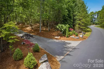 2050 Long Rifle Ridge Road #28 & 28A, Nebo, NC 28761 - Photo 3