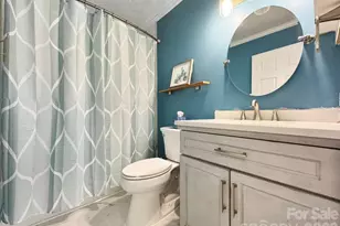 141 Bluewing Ln, Mooresville, NC 28117 - Photo 13