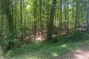 0 Locust Ln, New London, NC 28127 - Photo 1