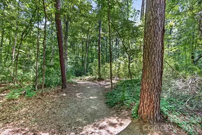 6410 Latta Springs Circle, Huntersville, NC 28078 - Photo 41