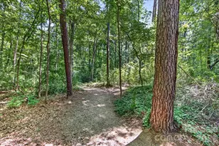 6410 Latta Springs Cir, Huntersville, NC 28078 - Photo 41