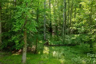 3355 Helton Hartley Pl, Lenoir, NC 28645 - Photo 45