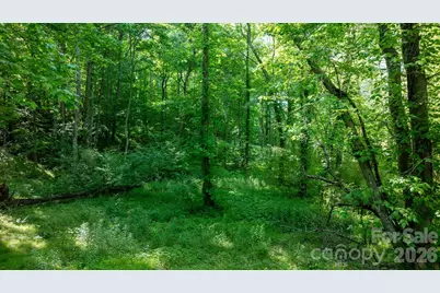 3355 Helton Hartley Place, Lenoir, NC 28645 - Photo 43