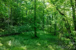 3355 Helton Hartley Pl, Lenoir, NC 28645 - Photo 43