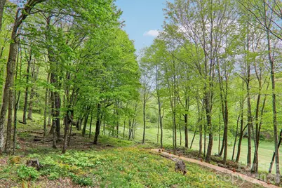 101 Oak Ridge Court, Mars Hill, NC 28754 - Photo 27