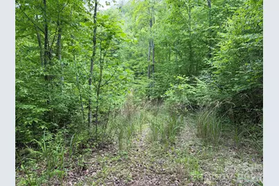 408 Arvil Gosnell Road, Marshall, NC 28753 - Photo 19