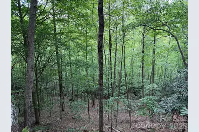 408 Arvil Gosnell Road, Marshall, NC 28753 - Photo 15