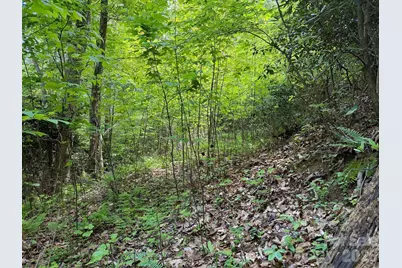 408 Arvil Gosnell Road, Marshall, NC 28753 - Photo 13