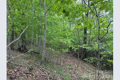 408 Arvil Gosnell Road, Marshall, NC 28753 - Photo 17