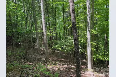 408 Arvil Gosnell Road, Marshall, NC 28753 - Photo 11